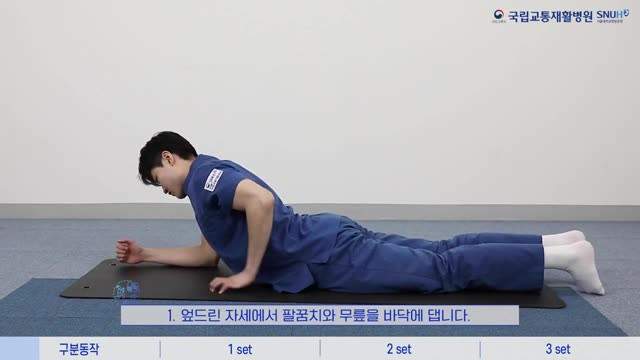 엎드려 팔꿈치와 무릎을 바닥에 댄 자세