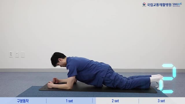 머리부터 무릎까지 일직선으로 버티기